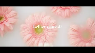 Szalma Annamária - Lelkem fáradt (Official Music Video)