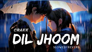 Dil Jhoom Song|slowed+reverb|CRAKK|Vishal Mishra,Sherya Ghoshal|New Song 2024|M.S LOFizz