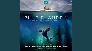 The Blue Planet