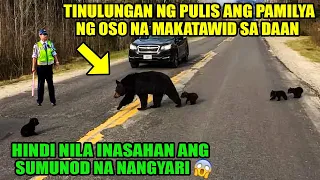 Tinulungan ng Pulis na makatawid ang pamilya ng Oso. HIndi nila inasahan ang sumunod na nangyari.