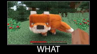 Minecraft wait what meme part 80 realistic minecraft Fox