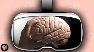 Your Brain in Virtual Reality
