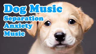 3 HOURS of Deep sleep & Separation Anxiety Puppy Music💖 Puppy Relaxation Music🎵Calm puppy🐶
