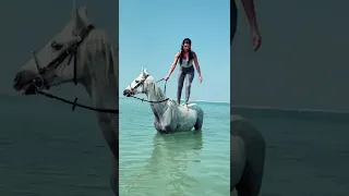 Horsr girl #tiktok #horse #trending #carryminati #viral#2022(3)