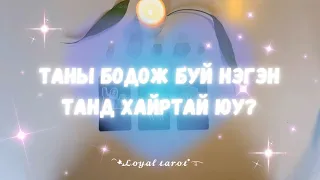 🩶🥹✨Таны бодож буй хүн танд хайртай юу? 🩶🥺✨