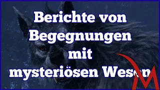 Berichte von Begegnungen mit mysteriösen Wesen, aus den Jahrhunderten - Fakt oder Legendengestalten?