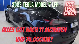 Tesla Model Y Standard LFP.  11 Monate - 74tkm. Durchgefallen. Akkucheck.