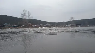 После ледяного затора на реке Ай. Куса. Речные чайки