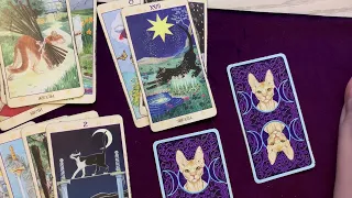 Близнецы 💞 Октябрь 2022 Отношения Деньги Здоровье Таро Прогноз Tarot