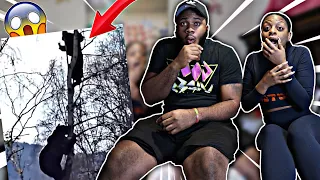 UNBELIEVABLE BEAR ATTACKS & INTERACTIONS CAUGHT ON CAMERA!! REACTION 😳