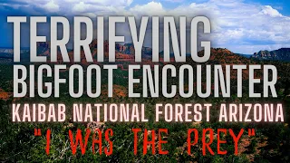 MOTHER AND FATHER SHARE SON'S TRAUMATIC BIGFOOT ENCOUNTER: KAIBAB NATIONAL FOREST | ARIZONA BIGFOOT