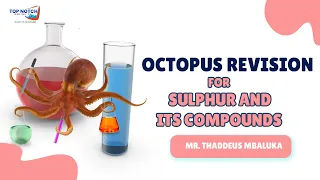 Octopus Revision For Sulphur and Its Compounds | Mr. Thaddeus Mbaluka