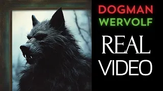 Оборотни Снятые на Камеру ┃Dogman, Werewolf Scary Video