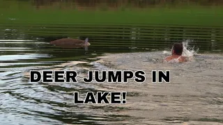 HUNTING A GOLF COURSE, SWIMMING TO RETRIEVE DEER *HILARIOUS* - S:3, E:2