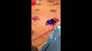 Dixie n DeeDee and the robot tarantula