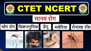 CTET DECEMBER | सभी रोग NCERT यही आएगा रट लो जल्दी | CTET EVS HUMAN BODY