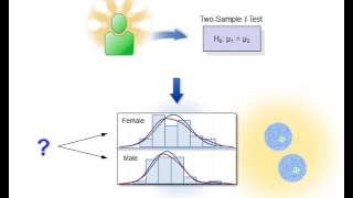 29  Assumptions for the Two Sample t Test