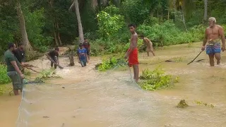 කැලේ පැනපු ලොකු මාළු ඇල්ලීම !!! Fishing Catching !!! Sri Lanka Fishing With Suresh !! Cast Net Fish