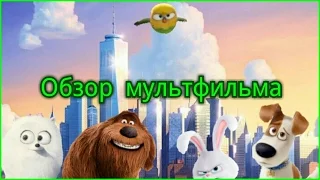 Обзор мультфильма "Тайная жизнь домашних животных"