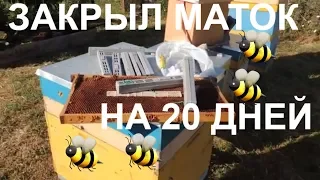 Закрыл матку на 20 дней/Что будет?/Слабый принос мёда