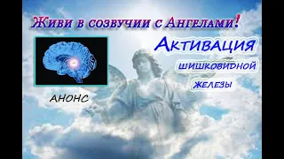 Анонс  Активация шишковидной железы