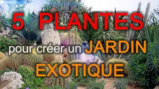 JARDIN EXOTIQUE : 5 Plantes à Avoir ABSOLUMENT !! [Plantes Résistantes] - Quelles Plantes Choisir? 😜