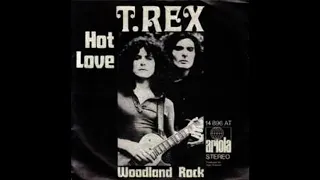 T. Rex - Hot Love (DJ Gonzalvez Bernard Extended)