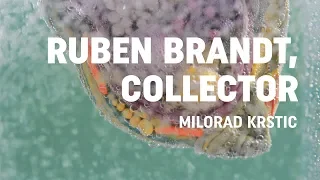 Ruben Brand, Collector