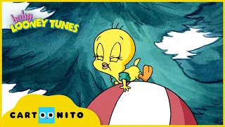 Baby Looney Tunes | Little Tweety | Cartoonito UK