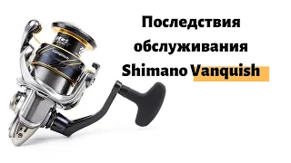 Последствия обслуживания Shimano Vanquish 16 2500S!