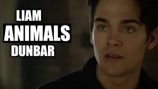 Liam Dunbar | Animals