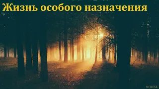 "Жизнь особого назначения". А. Сенцов. МСЦ ЕХБ.