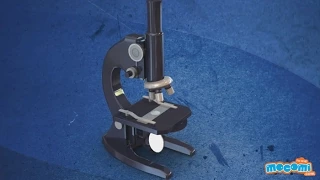 Parts of a Microscope | Mocomi Kids