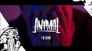 ANIMAL - I'm Sorry - We Are Triumphant