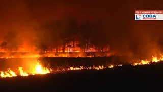 Пожар в окрестностях п. Большое Седельниково