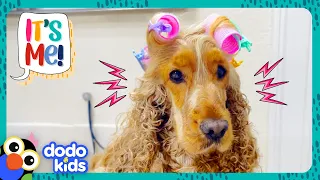 Let's Give This Pup's Hair A Makeover! | Dodo Kids | It's Me!