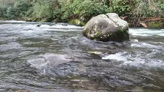 Little River - Great Smoky Mountains National Park 2