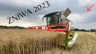 Żniwa 2023👀Pierwsi W Okolicy 🔥🔥żniwa rzepaku w gospodarstwie rolnym Kaczmarek🇵🇱Usługi Kurlapski