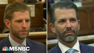 ‘How stupid do they have to be?’: Michael Cohen blasts Don Jr. and Eric's NY civil trial testimony