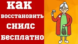 Как восстановить СНИЛС бесплатно. Что делать, если потерял страховое свидетельство?