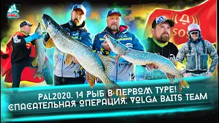 PAL 2020. 14 рыб в первом туре! Спасательная операция. VOLGA BAITS TEAM