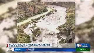 Hundreds of visitors left stranded at Carlsbad caverns