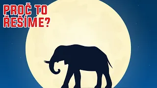Mají sloni vlastní náboženství? - Proč to řešíme? #1055