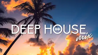 Avicii, Calvin Harris, Kygo, Alok, Robin Schulz, David Guetta, Gryffin - Summer Vibes Mix #185