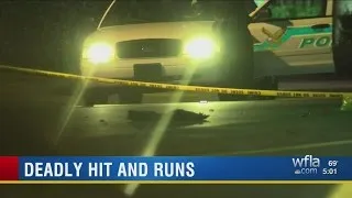 2 pedestrians killed in hit-and-run crashes in St. Pete