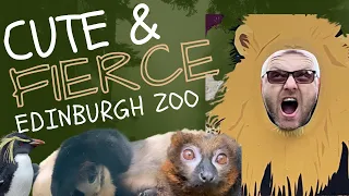 Edinburgh Zoo Animals - MLG Family Days Out