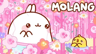Molang - THE PERFUME 🌸 Cartoon for kids Kedoo Toons TV