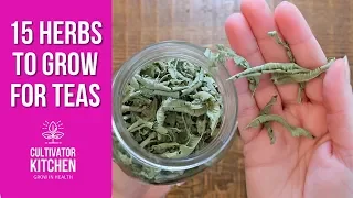 15 Herbs I Grow for Teas! Frugal Healthy Living 🌿