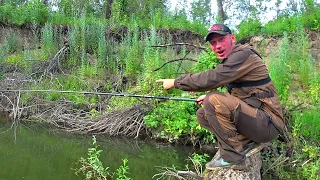 ЗАБРАЛСЯ на ДЕРЕВО в РУЧЬЕ и БЫЛ ШОКЕ | Рыбалка в ДИКОМ РУЧЬЕ