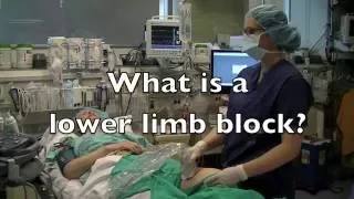 5. Lower Limb Block